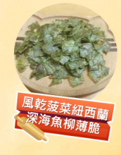 圖片 1