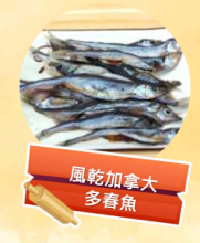 圖片 1
